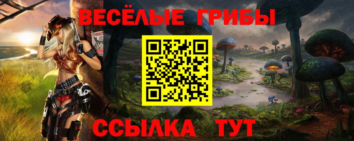 Санкт-Петербург  Псилоцибиновые грибы прущие грибы  Вход с VPN 